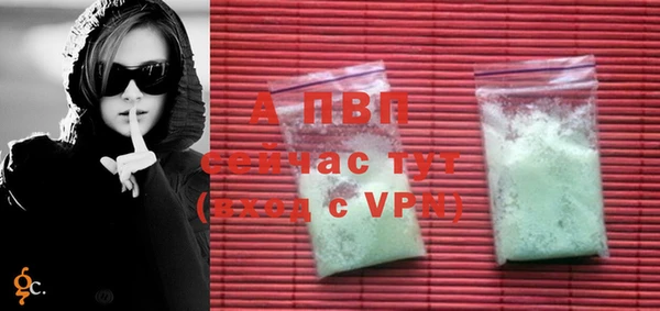 сатива Арсеньев