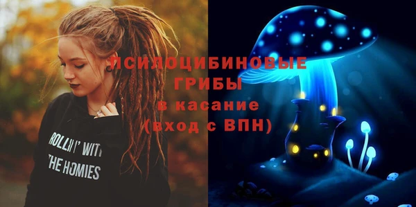 сатива Арсеньев