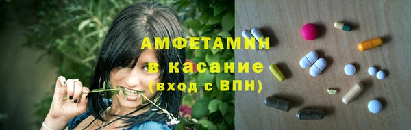 сатива Арсеньев