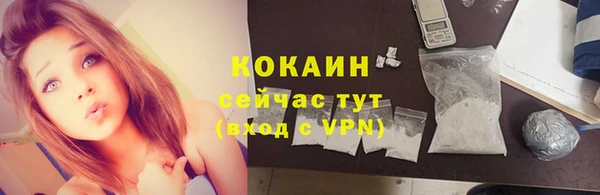сатива Арсеньев